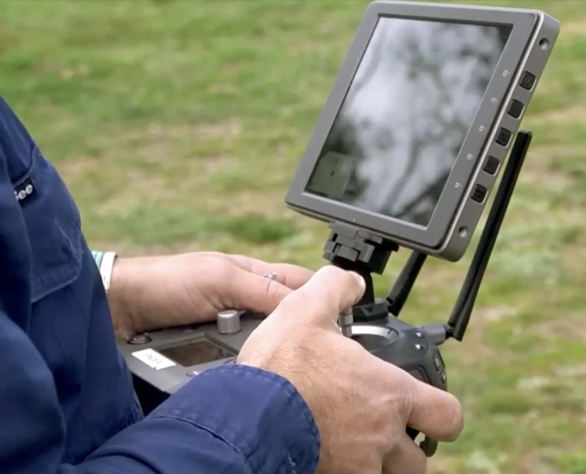 Wildlife Drones Viehortung